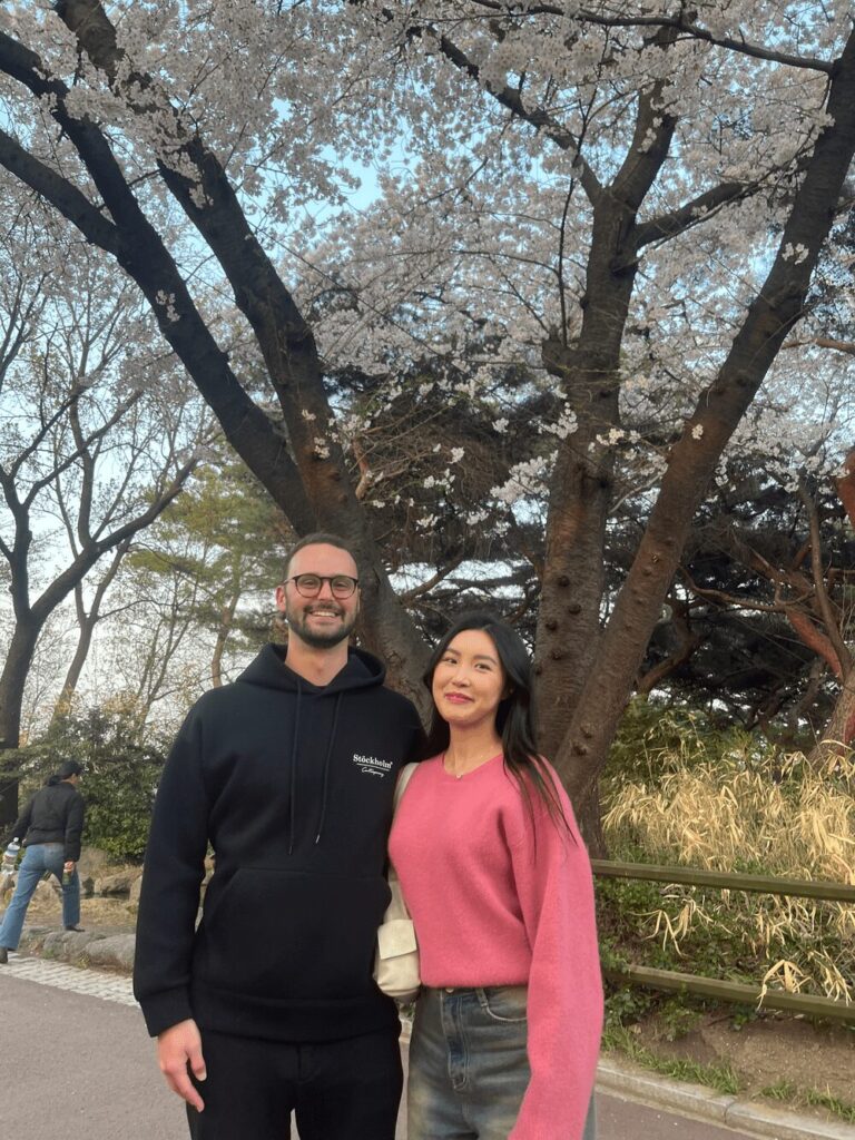 Seoul cherry blossoms